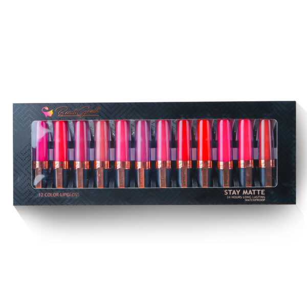 Beautigenic Long Lasting Water-proof MATTE lipgloss KIT (Pack of 12)